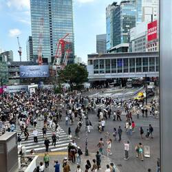 Shibuya crossing