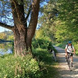 Cykelsti ved Donau
