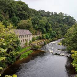 Renovated mill building