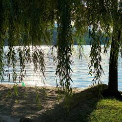 Dienstag, 10.09. | letzter Abend