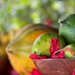 Früchte für die Cocktails 🍋