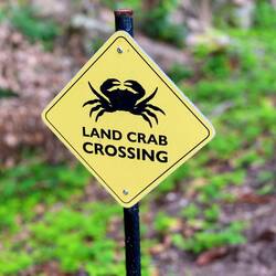 Krebs-Verkehrsschild 😅