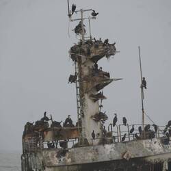 perfekt zum Nester buä, finded Kapscharbä