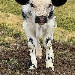 Wir fühlen uns heute öfter mal beobachtet.😅