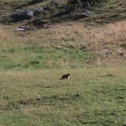 Manche können sich sogar noch bewegen.😁