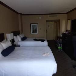 Blick in mein Hotelzimmer im Banff