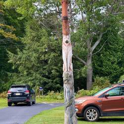 Saw this in someone's side yard