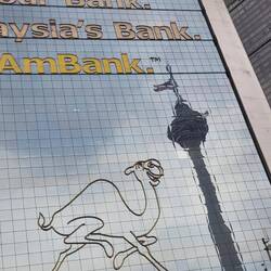 Immer wieder: witzige Spiegelbilder