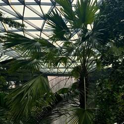 Jewel Changi Airport