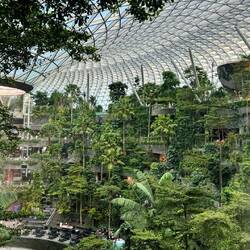 Jewel Changi Airport