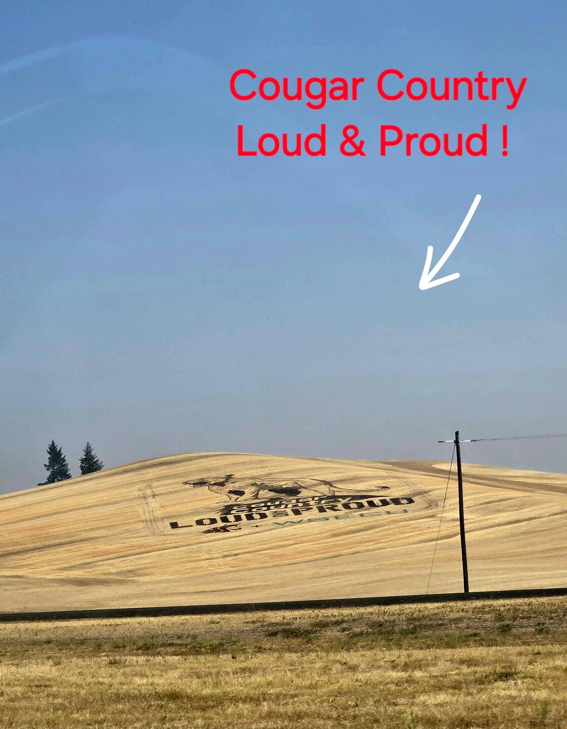 This was carved into the field!