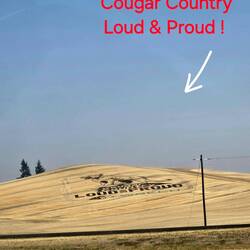 This was carved into the field!