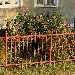 Auch die Polen können Blumen