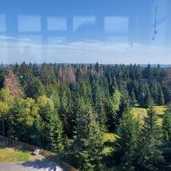 Ausblick Aussichtsturm