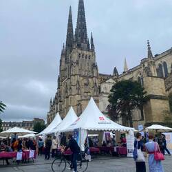 Cathedral St - André on route out of the city