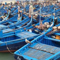 Fischerboote im Hafen