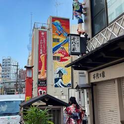 quartier Asakusa (avec la skytree cachée)