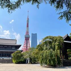 Tokyo tower et Zojo-ji temple