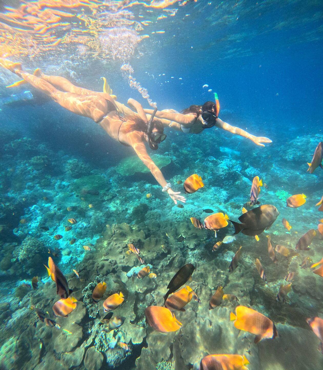 Fischiii🐠