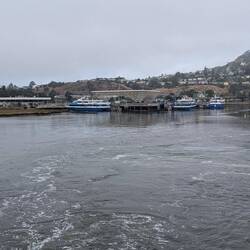 Leaving Larkspur Landing