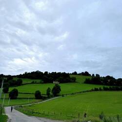Jodie walking, photo by Marda