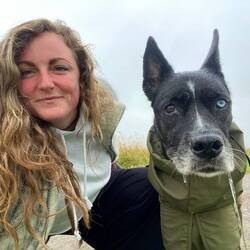 Hier seht ihr wie viel Holly seit der Attacke von dem anderen Hund sabbert :(