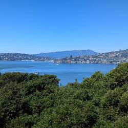 Raccoon Strait, with Tiburon on the other side