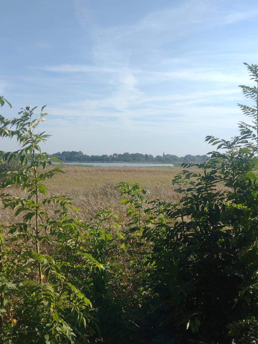 Bodden hinter Ribnitz