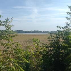 Bodden hinter Ribnitz