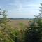 Bodden hinter Ribnitz