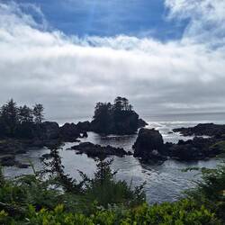 Rauhe Küste bei Ucluelet