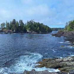 11 km Wild Pacific Trail