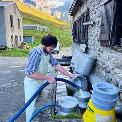 Fresh milk to make Beaufort