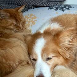 Die zwei Kuschelmäuse 🥰