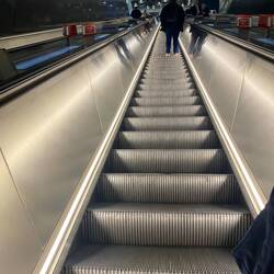 Up from the Underground
