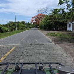 Off on my quad!
