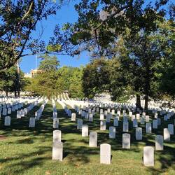 Arlington