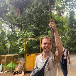 Versuch, sich an eine der Lianen zu hängen