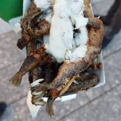 Maräne knusprig mit Knobisauce- Süßwasserseen Fisch, fam. der Lachse, Spezialität Südost Finnland