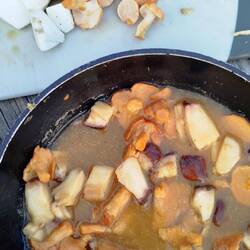 Steinpilze und Semmelpilz in schönster Symbiose