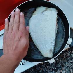 1.4 kg Steinbutt im Campingkocher 😂