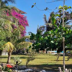 This place is called the tree house and is very tidy in comparison, the next door property
