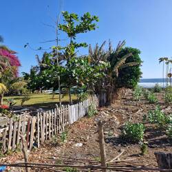 Amazing what a bit of water does 🤣