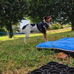 Der Stellplatz ist gar nicht so schlecht!