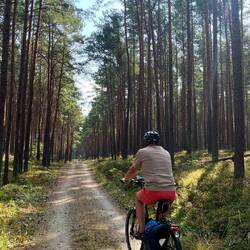 Durch den Wald