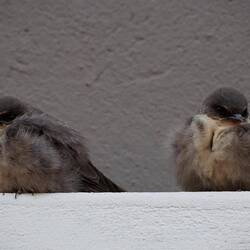 ider Nacht wirds sehr chalt