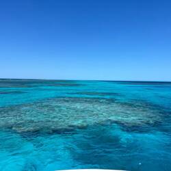 Lagoon entry