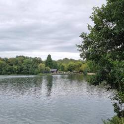 Endlich ein Blick auf den See