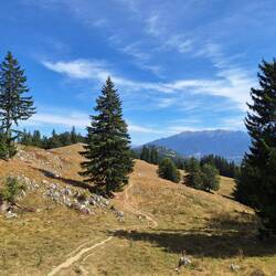 ...und schöner Rückweg
