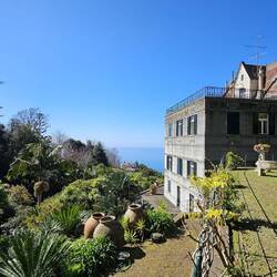 Jardim Tropical Monte Palace